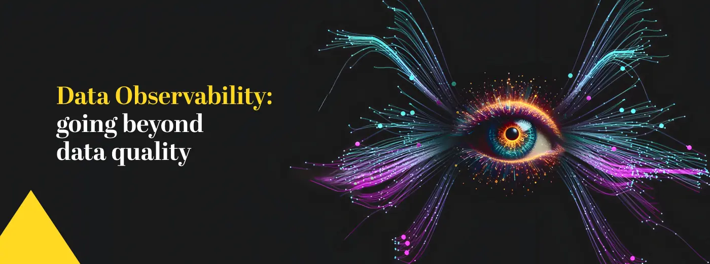 Master Data Quality with Data Observability